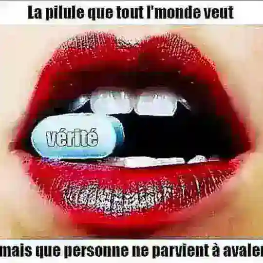 L’éveil 2022 Telegram Channel Avatar