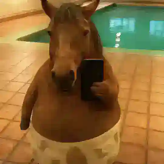 杭州拱墅个人林初（开课 Telegram Channel Avatar