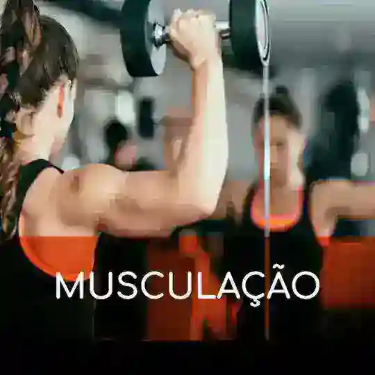 LMTR - Livros de Musculação/Treinamento Resistido Telegram Channel Avatar