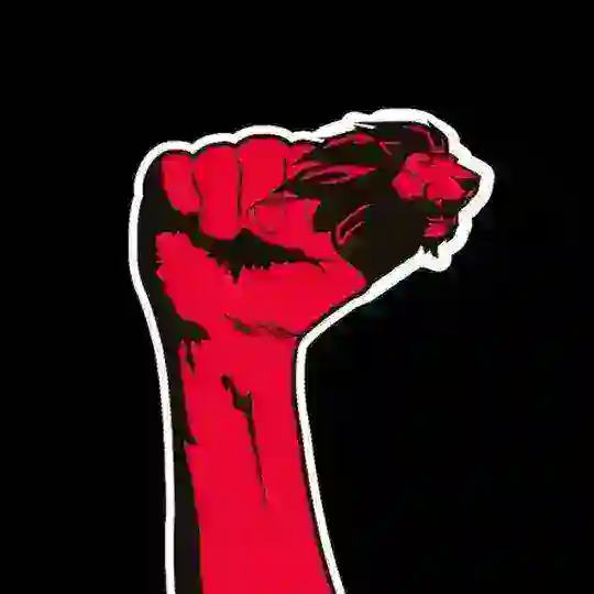 Lyon Insurrection Telegram Channel Avatar