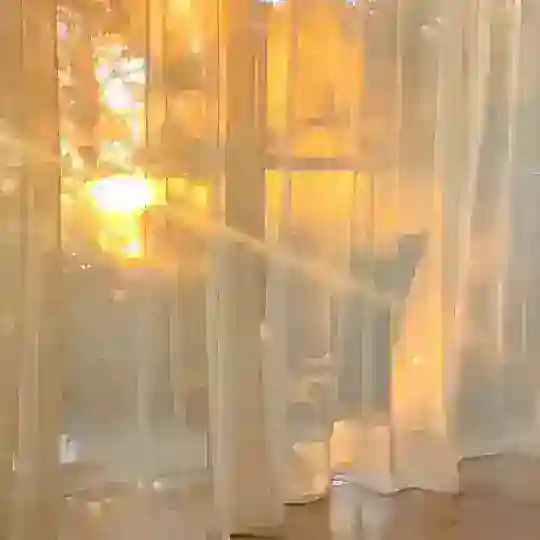 🔮فال بانو ماهی🔮 Telegram Channel Avatar