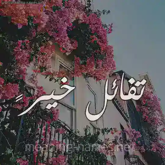 تّفُأِئلُ خيّرً 💝 Telegram Channel Avatar