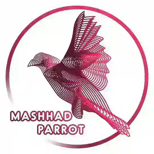 💎Mashhad_parrott💎 Telegram Channel Avatar