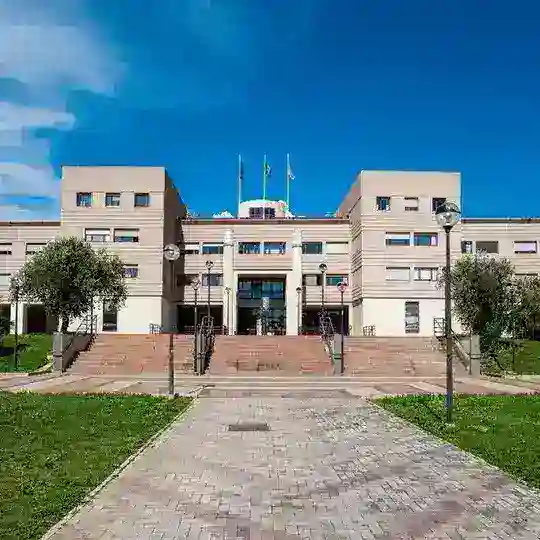 Medicina Tor Vergata LM-41 J54 Telegram Channel Avatar