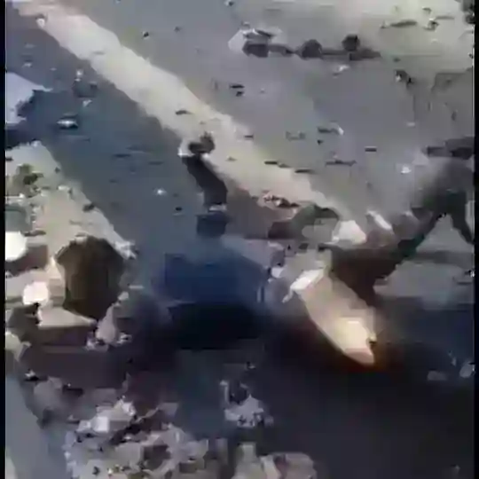 Мертві рускіє😂👍 Telegram Channel Avatar