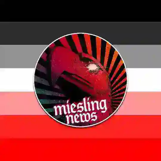 Miesling News Telegram Channel Avatar