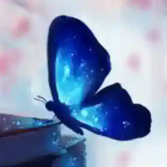 Mimoza Telegram Channel Avatar