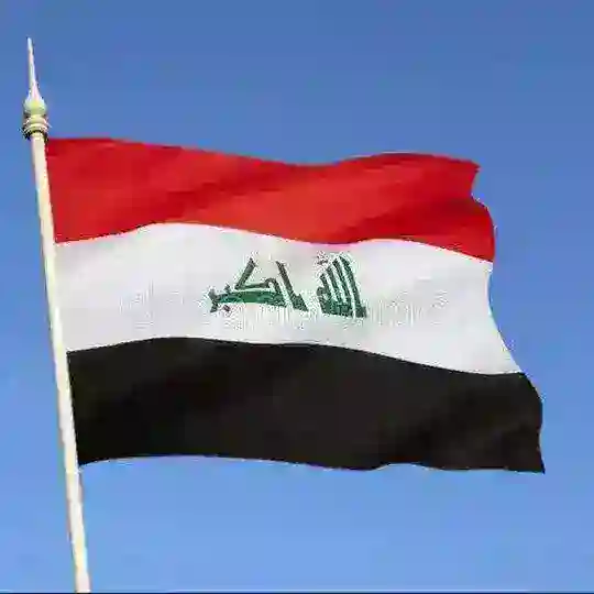خطط يومية و سنوية للمرحلة المتوسطة و الإعدادية Telegram Channel Avatar