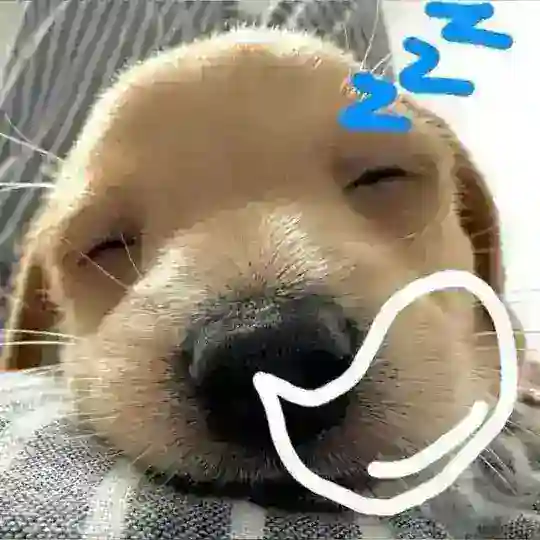 Mon Dora Telegram Channel Avatar
