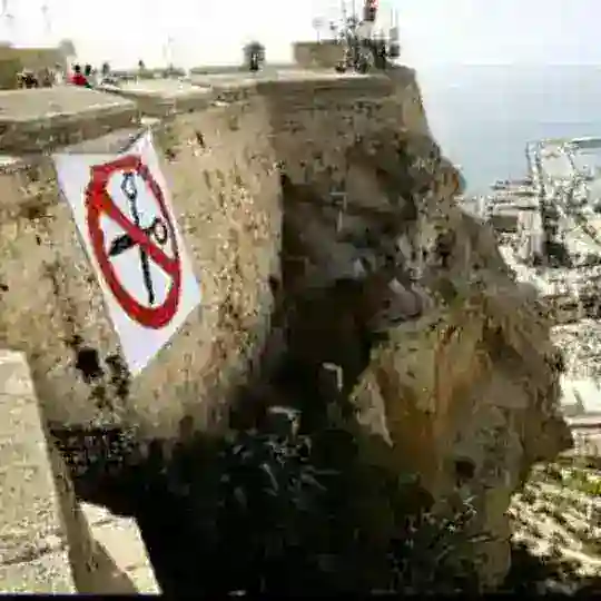 Movilizaciones Alicante Telegram Channel Avatar