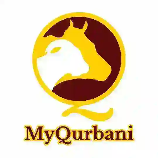 MyQurbani Telegram Channel Avatar
