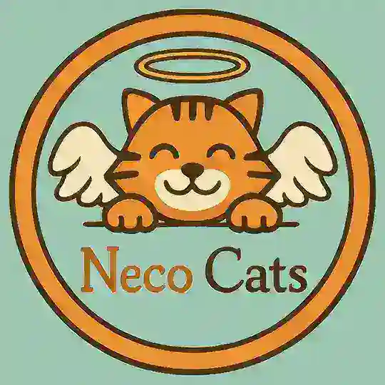 Neco Cats Telegram Channel Avatar