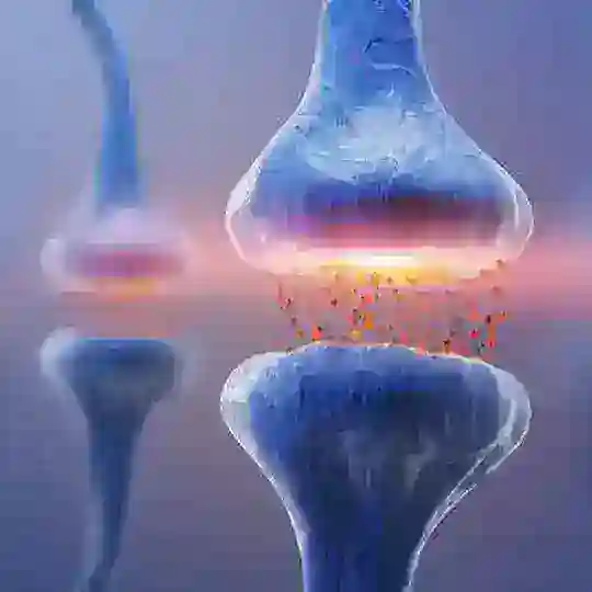 Neuroscienze | Neurofisiologia Telegram Channel Avatar
