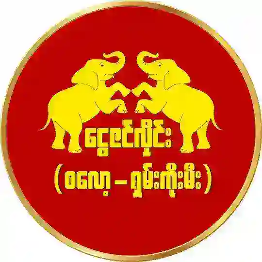 ငွေဇင်လှိုင်း ( စလော့ - ရှမ်းကိုးမီး ) VIP Telegram Channel Avatar