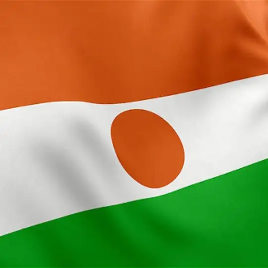 🌍 Niger News 🇳🇪 Telegram Channel Avatar