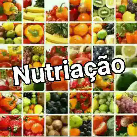 🍅🍆 Nutriação: Saúde 🍃🍊🍌🍉🍇 Alimentação e etc. Telegram Channel Avatar
