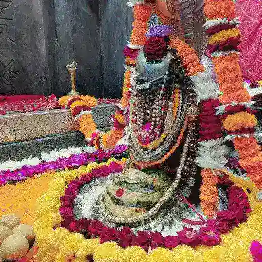 Omkareshwar Jyotirling Mandir Telegram Channel Avatar