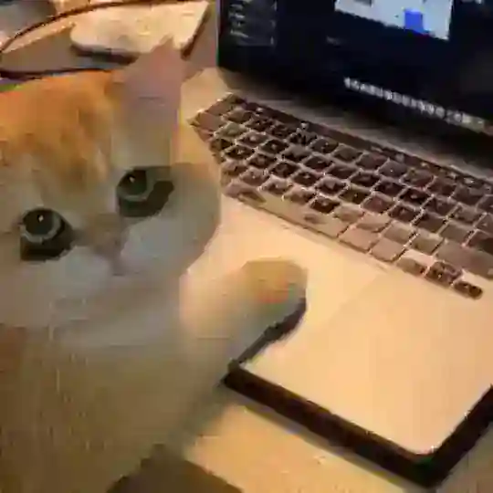 NO MONEY FREE Telegram Channel Avatar