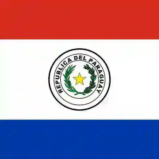 Project Paraguay Telegram Channel Avatar