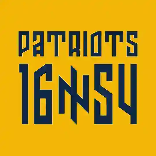 ПАТРІОТИ 1654 | PATRIOTS 1654 Telegram Channel Avatar