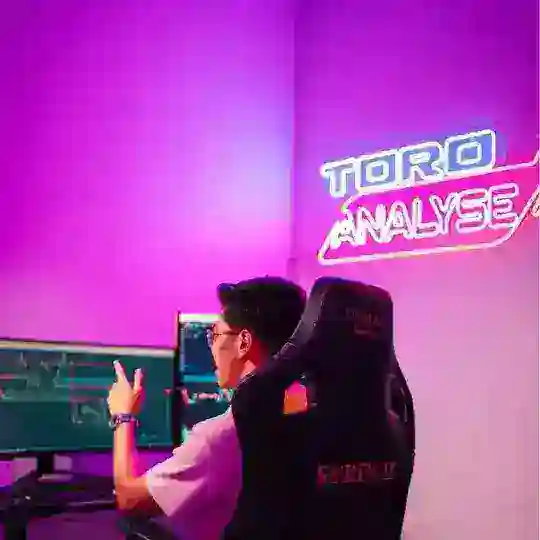 TORO ANALYSE ⚡️ Telegram Channel Avatar
