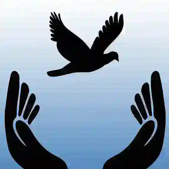 Perpignan pour la liberté Telegram Channel Avatar