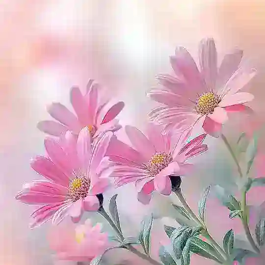 خلفيات حالات واتس صور بروفايل Telegram Channel Avatar