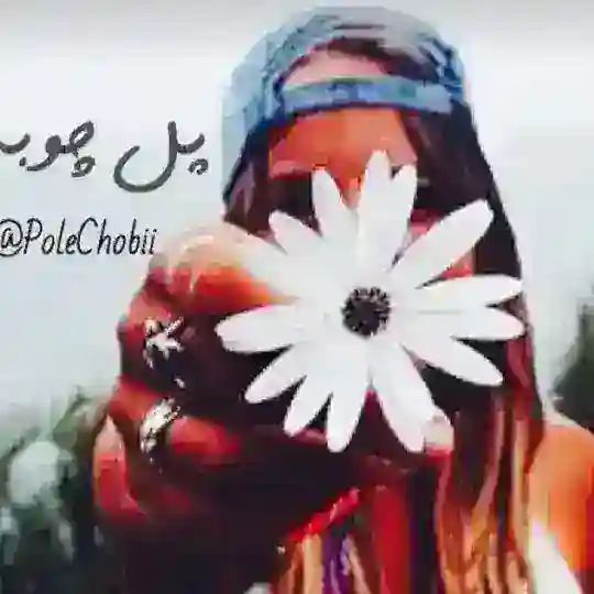 💎پُـــل چــــوبـي💎 Telegram Channel Avatar