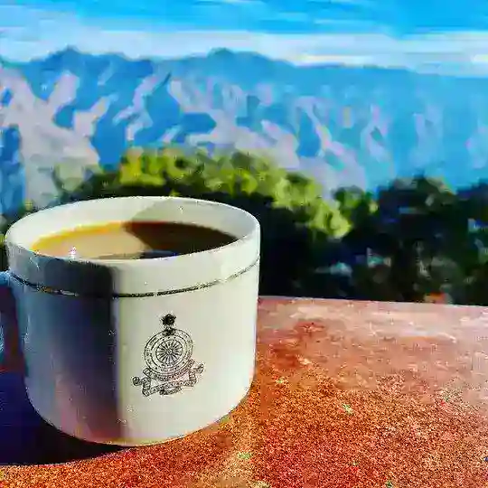 Political science lover 🤞 Telegram channel