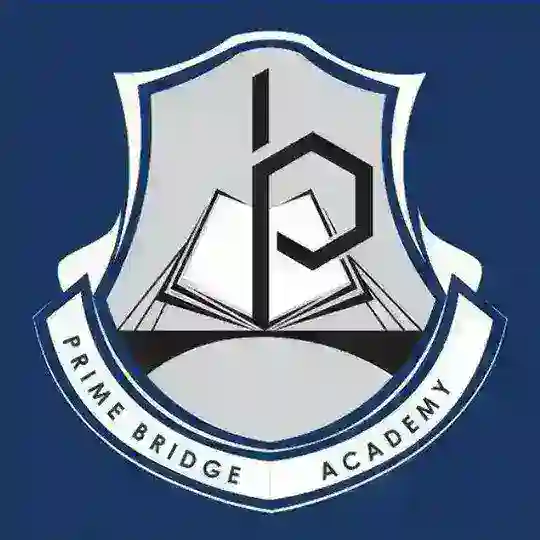 Prime Bridge Academy Telegram channel