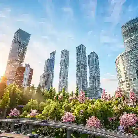 🌿🌺|ПАКИ|ОКРАСЫ IR|🌺🌿 Telegram Channel Avatar
