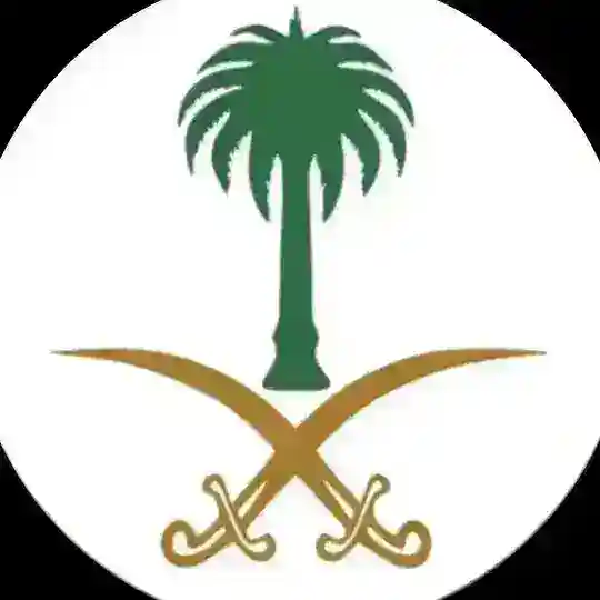 95 نموذج ملخصة (ورقي) Telegram Channel Avatar