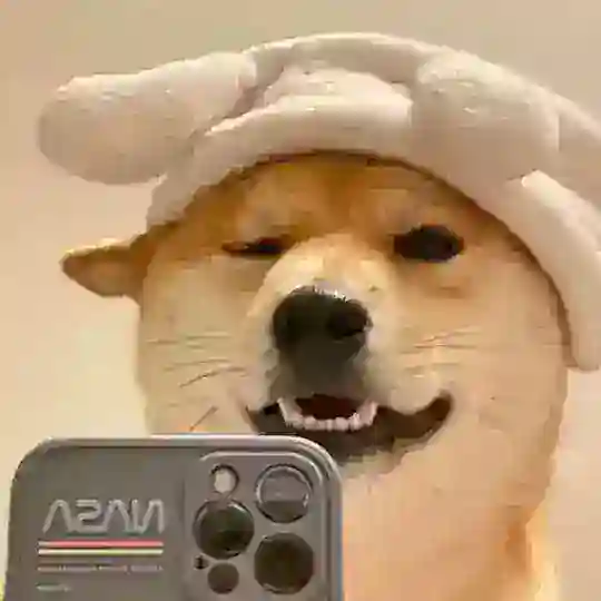 海外营销 Telegram Channel Avatar