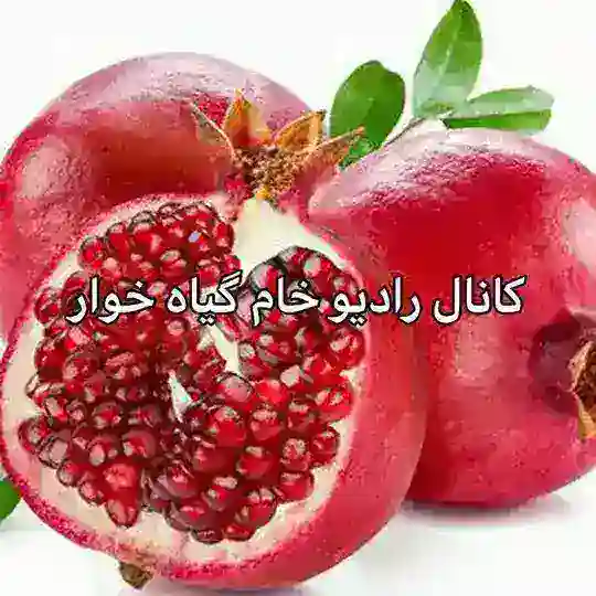 رادیو خام گیاه خوار Telegram Channel Avatar