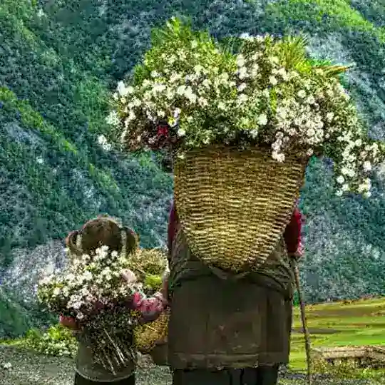 رحيـ 🆁🅰🅷🅸🅻 ـل Telegram Channel Avatar