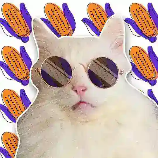 референсна by Kukurudza Telegram Channel Avatar