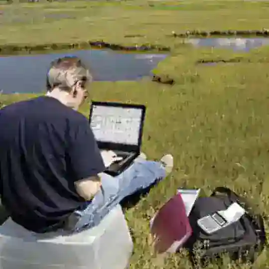 Remote Job Positions Telegram Channel Avatar