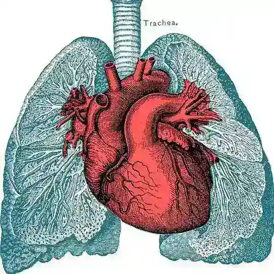 R2 4ème Médecine 23 Telegram Channel Avatar