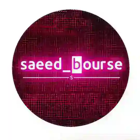 سعید رضاپور | پشتیبانی سعید بورس | Saeed Rezapoor 🎖️ Telegram Channel Avatar