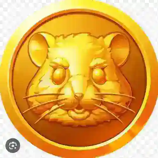 sanalcoinciniz | TG Grubu Telegram Channel Avatar