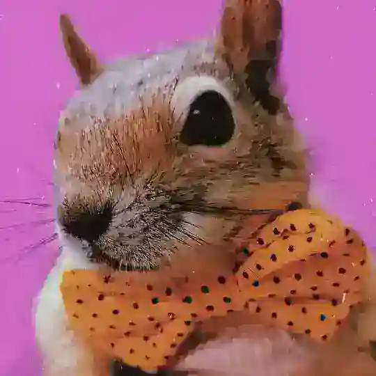 🐿سنجاب ایرانی🐿 Telegram Channel Avatar