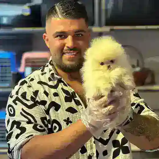 Saypet1_ پودل پامرانین Telegram Channel Avatar