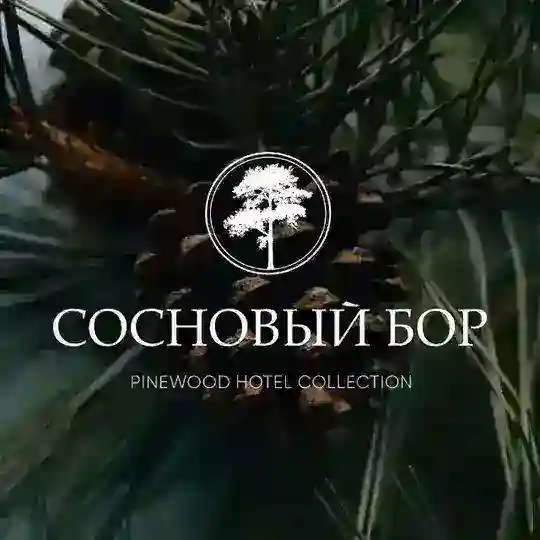 Парк-отель СОСНОВЫЙ БОР Telegram Channel Avatar