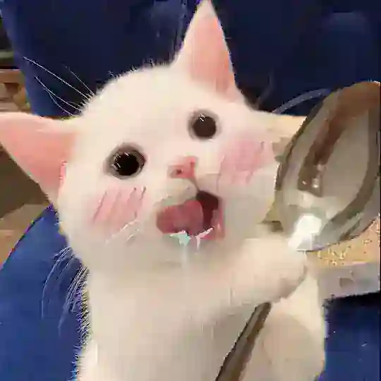 🪐心情垃圾站 🔗 Telegram Channel Avatar