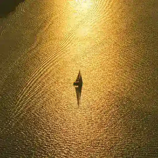 Seasoul Diary Telegram Channel Avatar