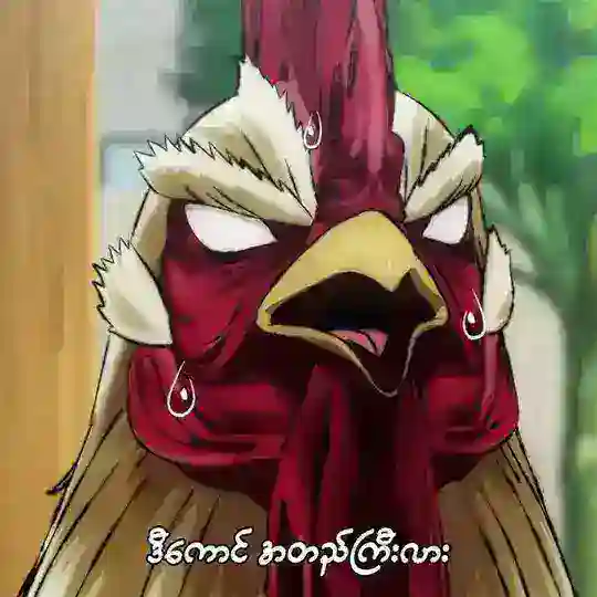 SenpaiAnimeMM 2026 ကြက်ဖ Telegram Channel Avatar