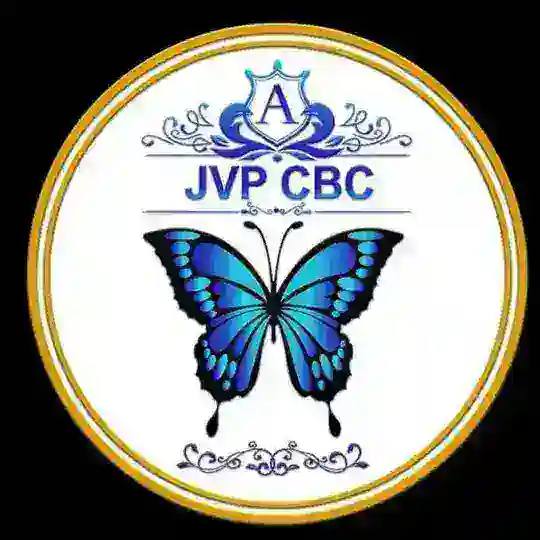 🦋VIP🦋 4 Telegram Channel Avatar