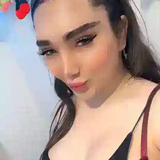 شیمیل ( کمیسا ) Telegram Channel Avatar