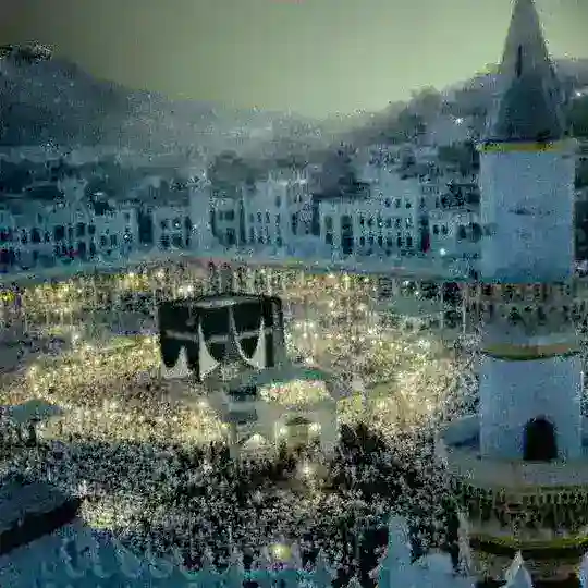 فوائد ومناقشات Telegram Channel Avatar