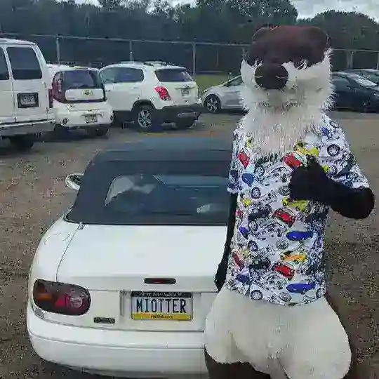 🏳️🌈🏁 Shitbox Society 🏁🏳️🌈 Telegram Channel Avatar